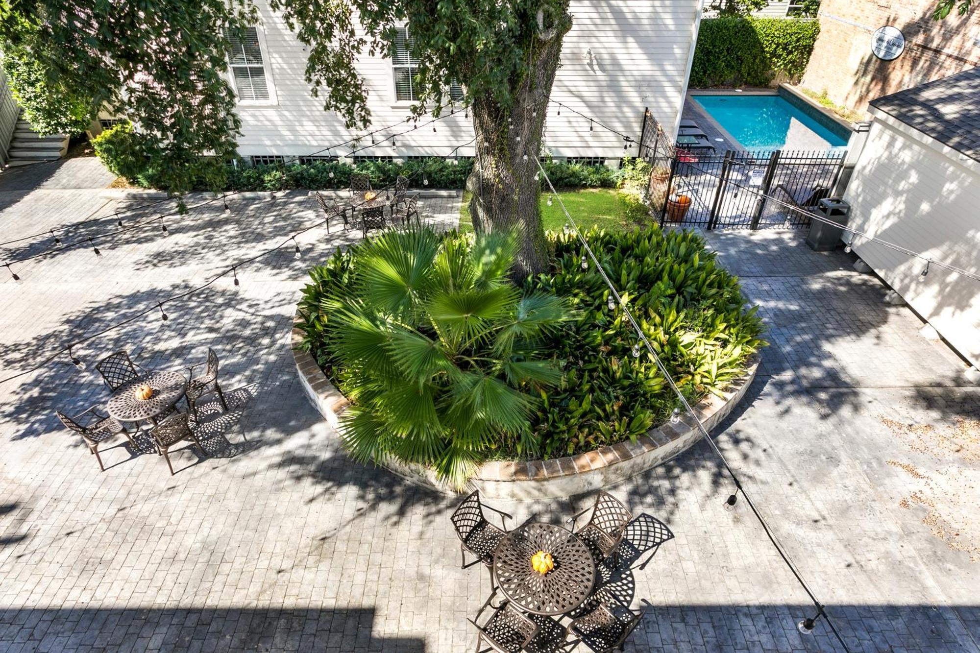 Amazing 3Br Cottage Off St Charles With Pool نيو أورلينز المظهر الخارجي الصورة